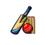 CUSTOM CRICKET BATS