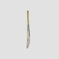 NSS Brutal Shark Edition Cricket Bat | Teal & Gold