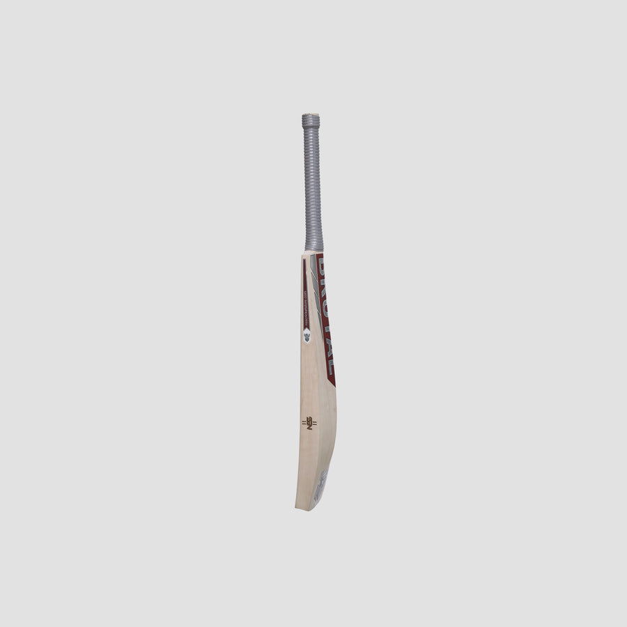 NSS Brutal Shark Edition Cricket Bat | Maroon & Silver