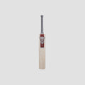 NSS Brutal Shark Edition Cricket Bat | Maroon & Silver