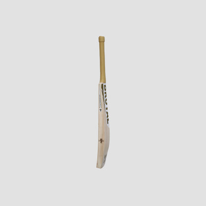 NSS Brutal Shark Edition (Grade 1) Kashmiri Willow Cricket Bat