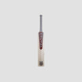 NSS Brutal Shark Edition Cricket Bat | Maroon & Silver