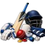 CRICKET ACCESSORIES