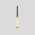 NSS Player Edition Cricket Bat