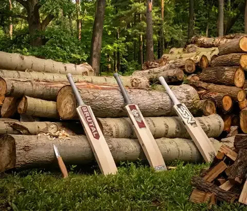 QUALITY WILLOW SOURCING