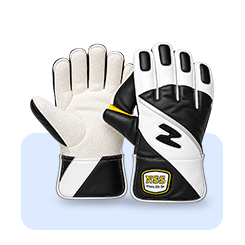 Wicket Keeping Gloves