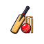 CRICKET BATS